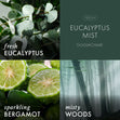 Load image into Gallery viewer, Eucalyptus Mist 3-Wick Candle
