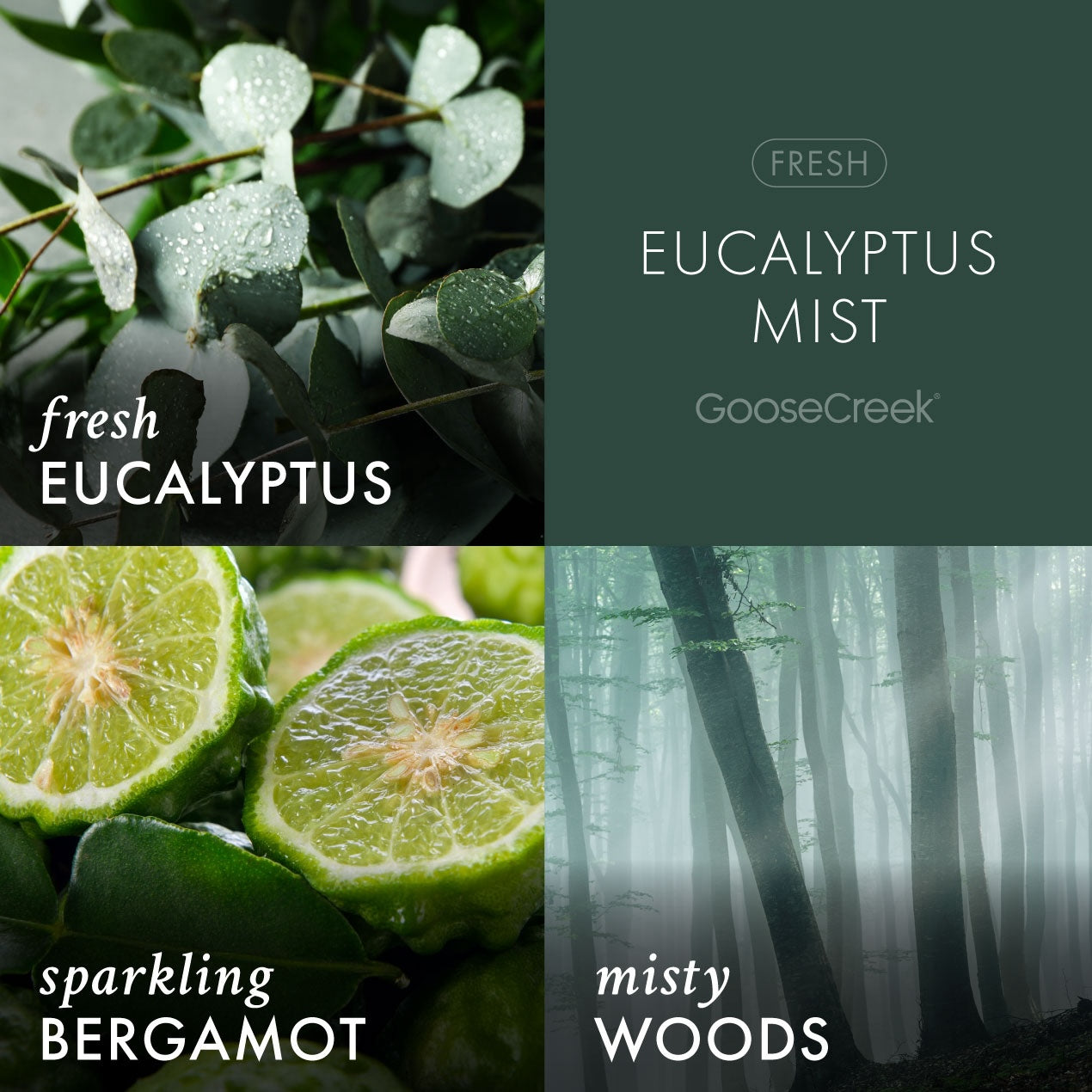 Eucalyptus Mist 3-Wick Candle
