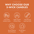 Load image into Gallery viewer, Fall Festival 3-Wick Candle