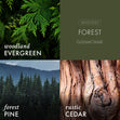 Load image into Gallery viewer, Forest 3-Wick Candle