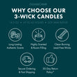 Load image into Gallery viewer, Forest Pine Trees 3-Wick Candle