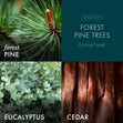 Load image into Gallery viewer, Forest Pine Trees Plug-in Refill