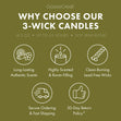 Load image into Gallery viewer, Gardenia Petals 3-Wick Candle