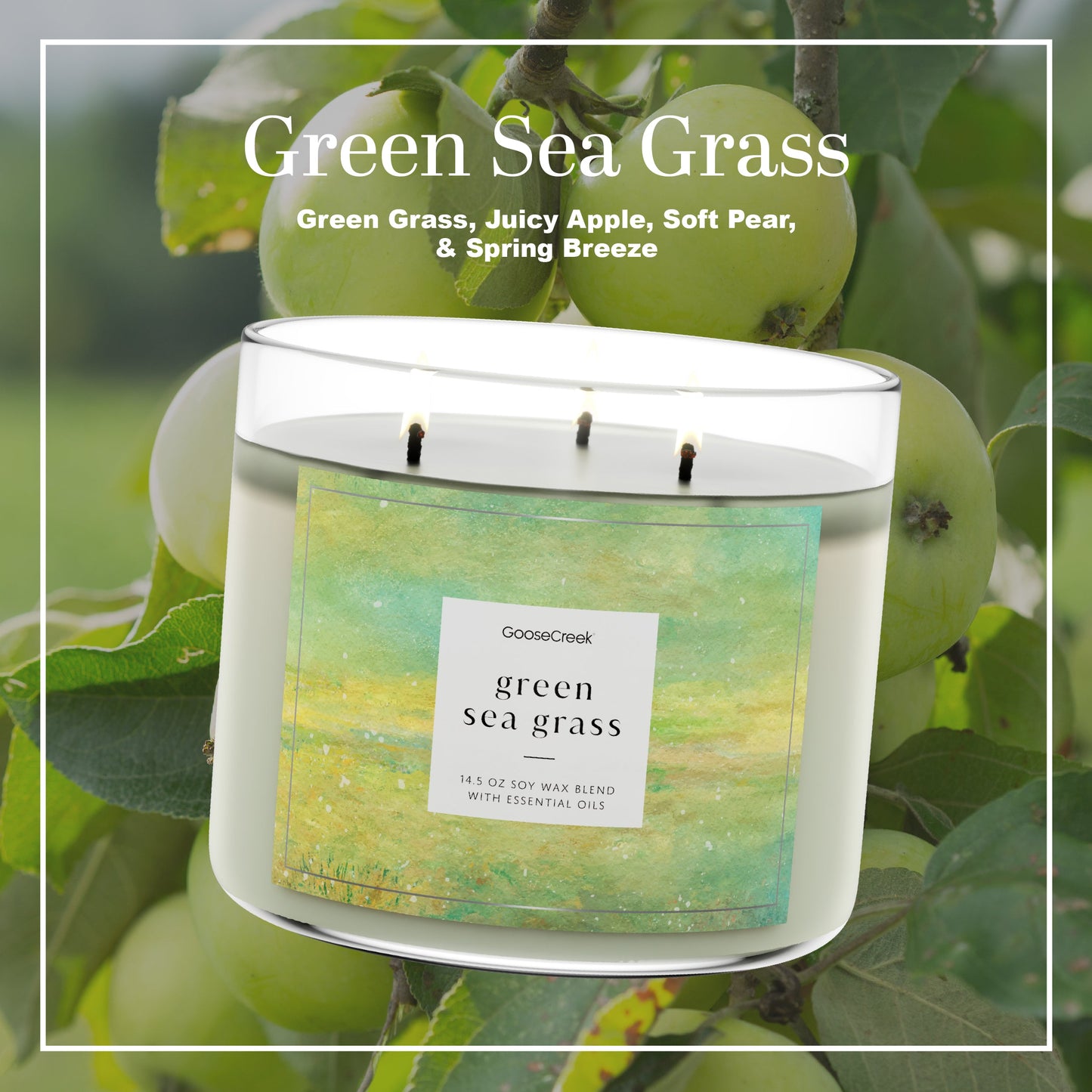 Green Sea Grass Large 3-Wick Candle