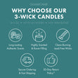 Load image into Gallery viewer, Gulf Shores 3-Wick Candle
