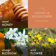 Load image into Gallery viewer, Honey & Wildflower Aromatherapy Large 3-Wick Candle