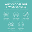 Load image into Gallery viewer, Island Bliss 3-Wick Candle
