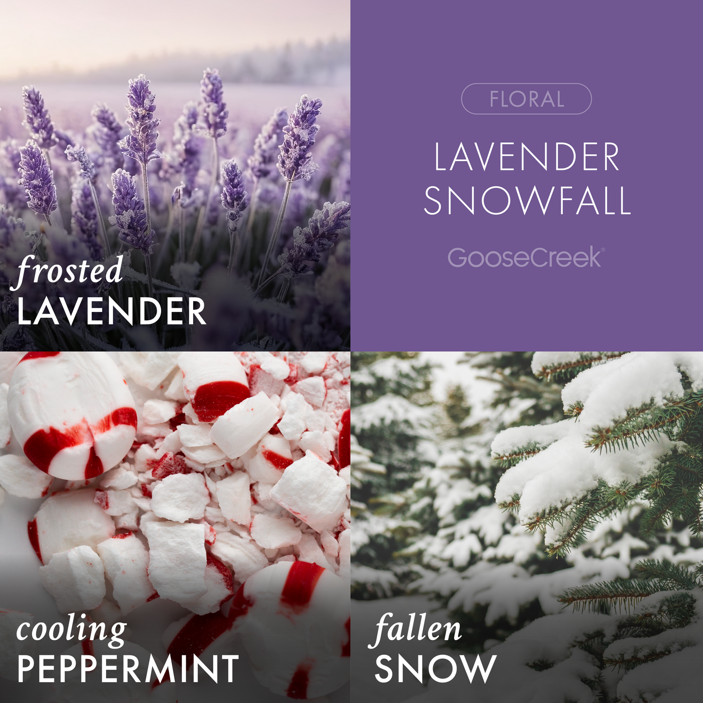 Lavender Snowfall 3-Wick Candle
