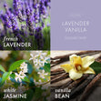 Load image into Gallery viewer, Lavender & Vanilla Aromatherapy 3-Wick Candle