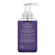 Load image into Gallery viewer, Lavender Vanilla Lush Foaming Hand Soap