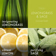 Load image into Gallery viewer, Lemongrass & Sage Aromatherapy 3-Wick Candle