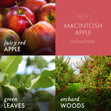 Load image into Gallery viewer, Macintosh Apple 3-Wick Candle