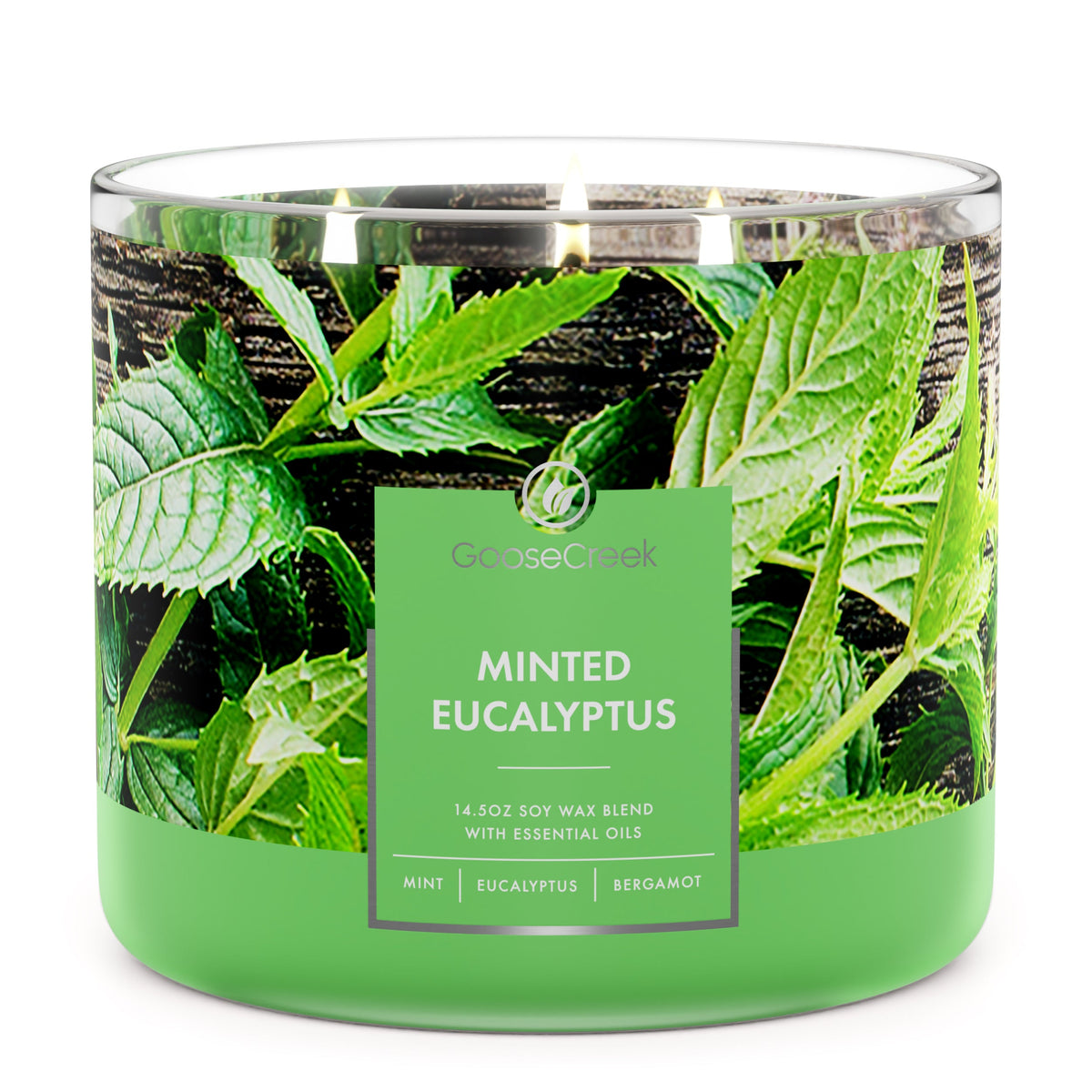 Fresh Mint & Eucalyptus Wax melt Sample
