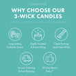 Load image into Gallery viewer, Odor Eliminating Island Bliss 3-Wick Candle