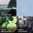Load image into Gallery viewer, Odor Eliminating Lost at Sea Wax Melt