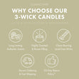 Load image into Gallery viewer, Odor Eliminating Warm & Welcome 3-Wick Candle