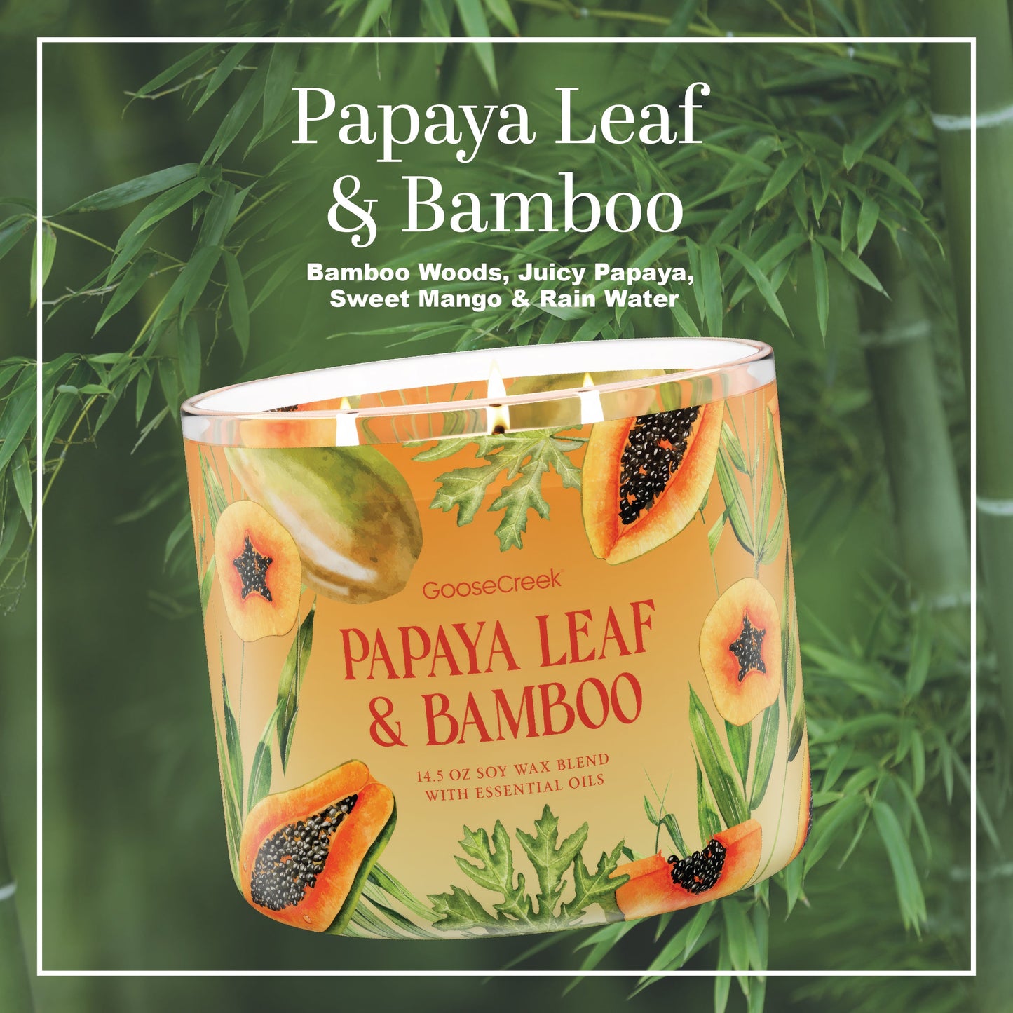 Papaya Leaf & Bamboo Large 3-Wick Candle