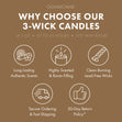 Load image into Gallery viewer, Pina Colada 3-Wick Candle
