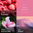 Load image into Gallery viewer, Pink Beach 3-Wick Candle