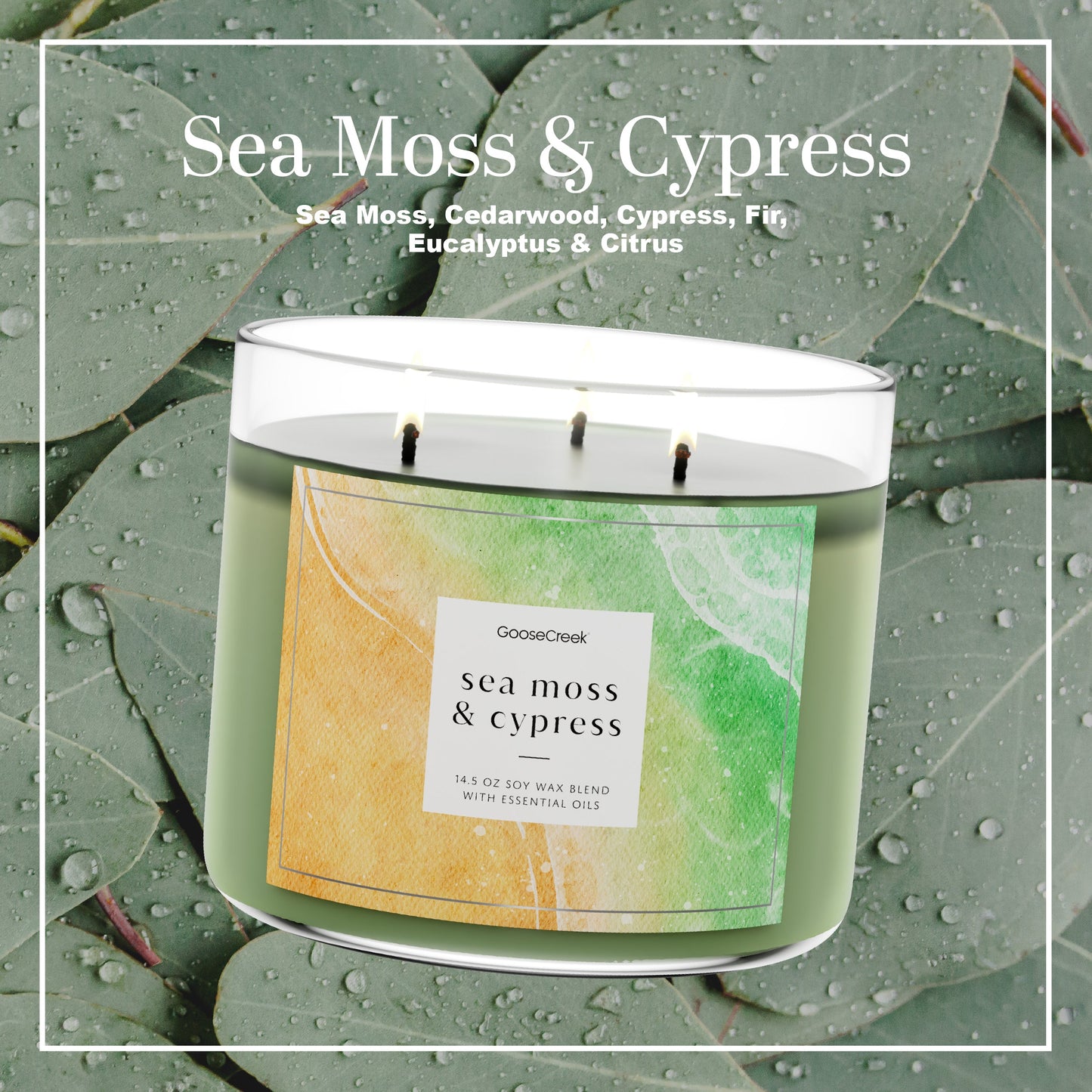 Sea Moss & Cypress Large 3-Wick Candle