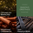 Load image into Gallery viewer, Season's Greetings 3-Wick Candle