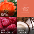 Load image into Gallery viewer, Sunday Drive Body Mist