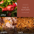 Load image into Gallery viewer, This is Autumn 3-Wick Candle