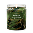 Load image into Gallery viewer, Tropical Daydream 7oz Single Wick Candle