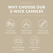 Load image into Gallery viewer, Vanilla Bean 3-Wick Candle