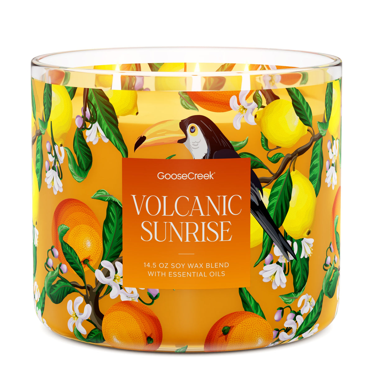 goose creek candle キャンドル　2芯　ジャー　グース　クリーク Eruptive Citrus Strawberry Volcano Candle - Goose Creek Candles