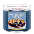 Load image into Gallery viewer, Warm Blueberry Crumble 3-Wick Candle