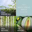 Load image into Gallery viewer, Warm Spring Breeze 3-Wick Candle