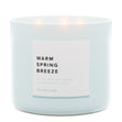 Load image into Gallery viewer, Warm Spring Breeze 3-Wick Candle