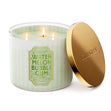 Load image into Gallery viewer, Watermelon Bubble Gum 3-Wick Candle