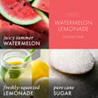 Load image into Gallery viewer, Watermelon Lemonade 3-Wick Candle