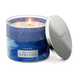 Load image into Gallery viewer, White Water Springs 3-Wick Candle