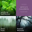 Load image into Gallery viewer, Witch's Cauldron Large 3-Wick Candle