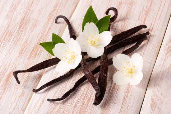 Online Candle Scent Guide: What Does Vanilla Smell Like?