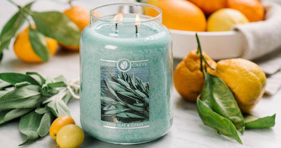 Sage and Citrus: Complex, Mysterious & Fantastic! - Goose Creek Candle