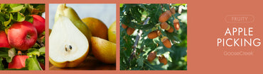 Apple Picking Fragrance-Goose Creek Candle