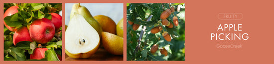 Apple Picking Fragrance-Goose Creek Candle