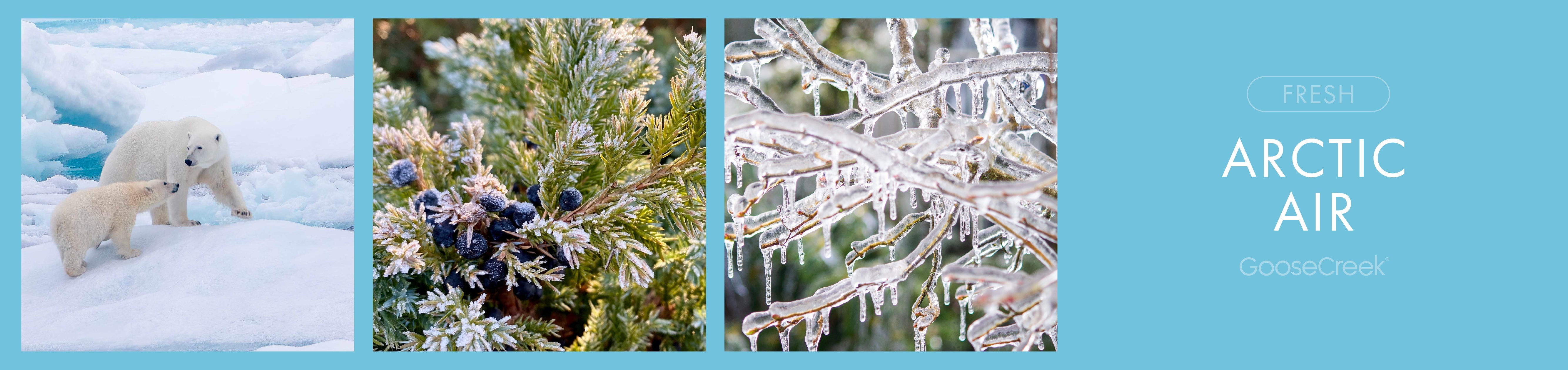 Arctic Air Fragrance-Goose Creek Candle