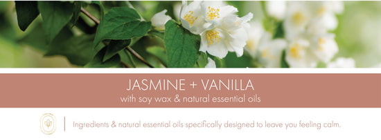 Jasmine & Vanilla Fragrance-Goose Creek Candle