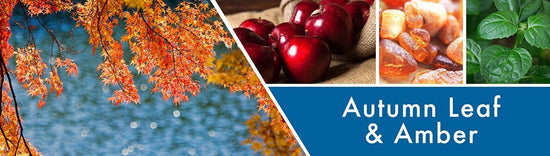 Autumn Leaf & Amber Fragrance-Goose Creek Candle