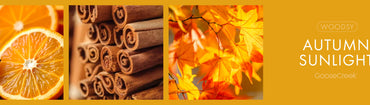 Autumn Sunlight Fragrance-Goose Creek Candle