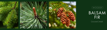 Balsam Fir Fragrance-Goose Creek Candle