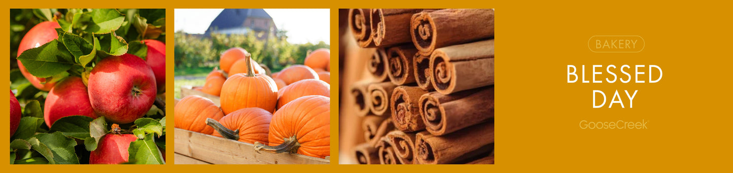 Blessed Day Fragrance-Goose Creek Candle