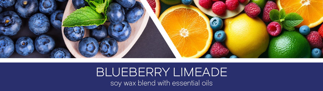Blueberry Limeade Fragrance-Goose Creek Candle