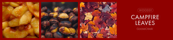 Campfire Leaves Fragrance-Goose Creek Candle