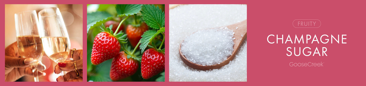 Champagne Sugar Fragrance-Goose Creek Candle